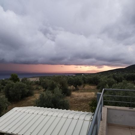 Panoramic View Summerhouse Loukissia エクステリア 写真