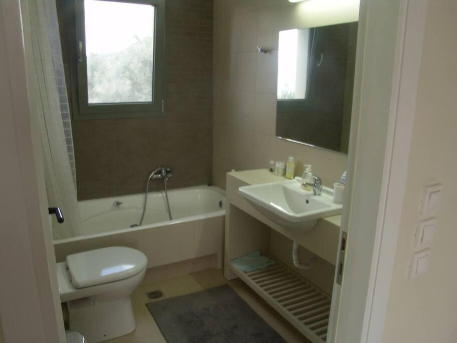 Panoramic View Summerhouse Loukissia エクステリア 写真
